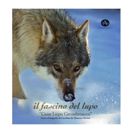  CANE LUPO CECOSLOVACCO